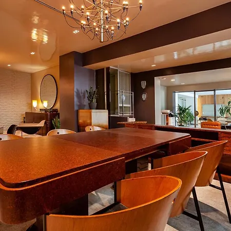 Noa - Sungu 1 İstanbul